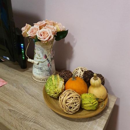 Studio Apartman Ld U Strogom Centru Нови Сад Екстериор снимка