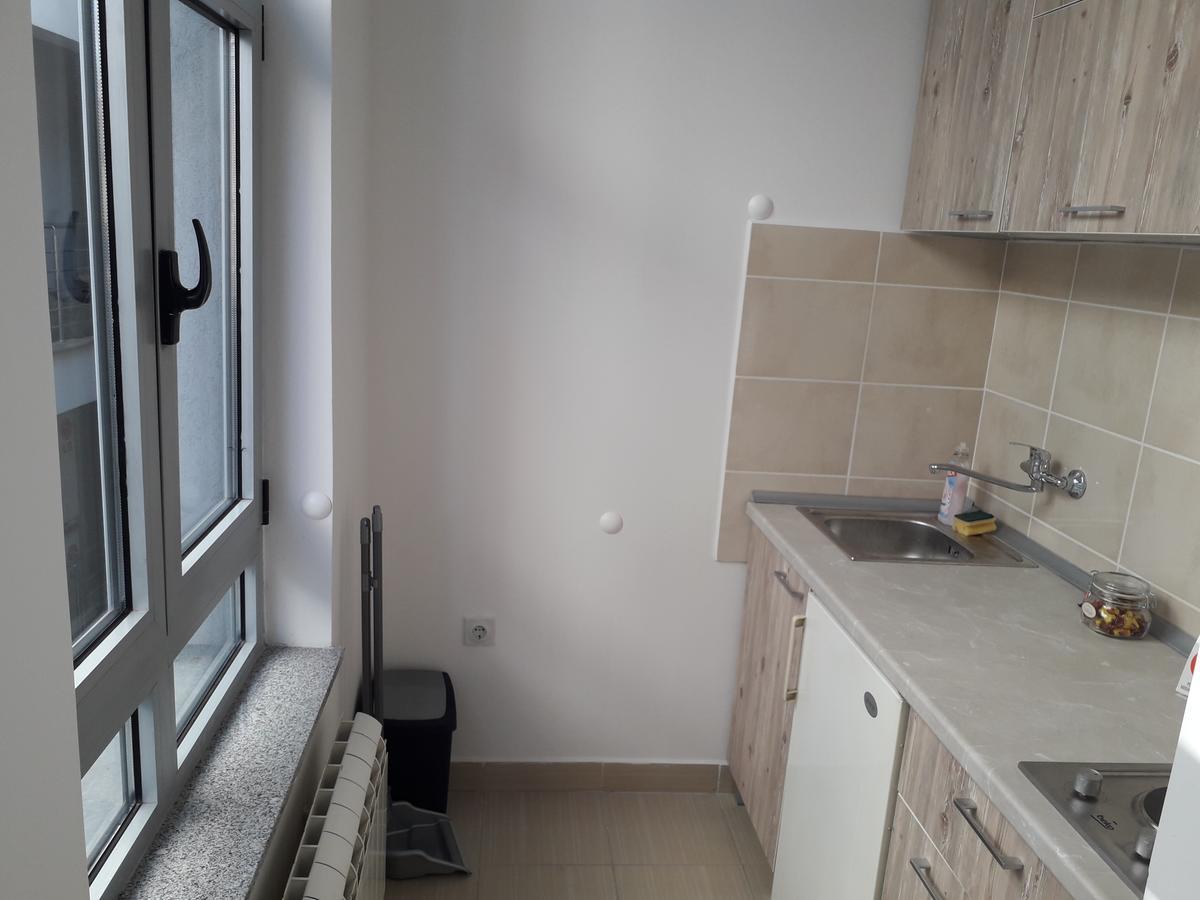 Studio Apartman Ld U Strogom Centru Нови Сад Екстериор снимка